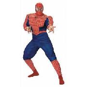 Spiderman Muscle Costume - Medium.