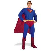 Superman Muscle Chest Costume - Medium.