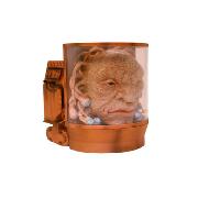 Doctor Who - the Face of Boe